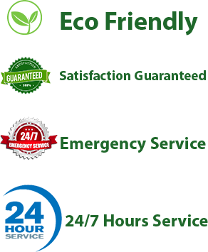 eco friendly service